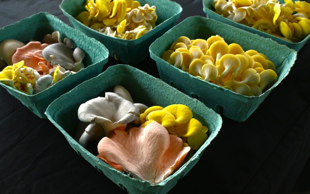 Locally Grown Farmers Market