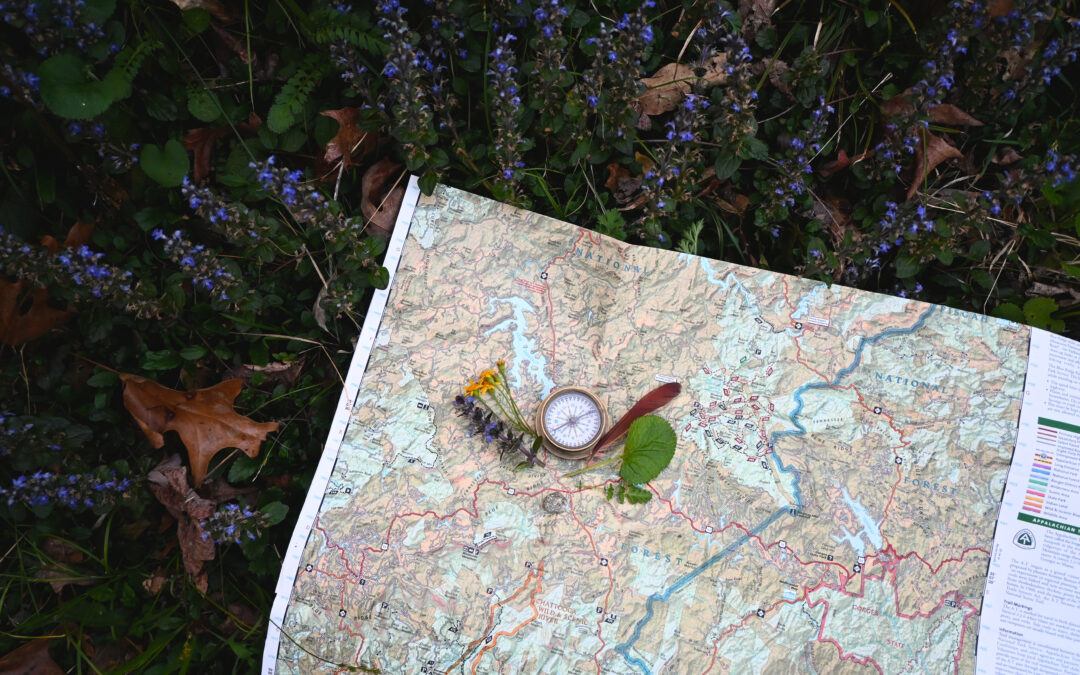 Youth Nature Series: Map & Compass Nature Treasure Hunt by Kayla Watson