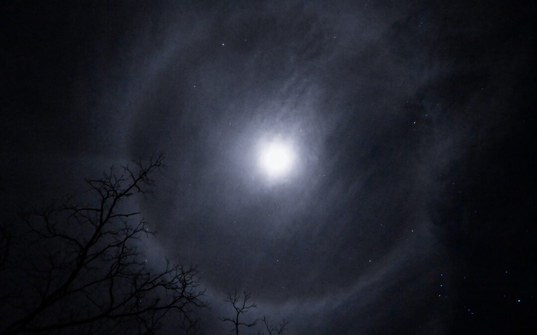 Village Nature Series: Embracing the Dark- Light Pollution, Health and the Environment