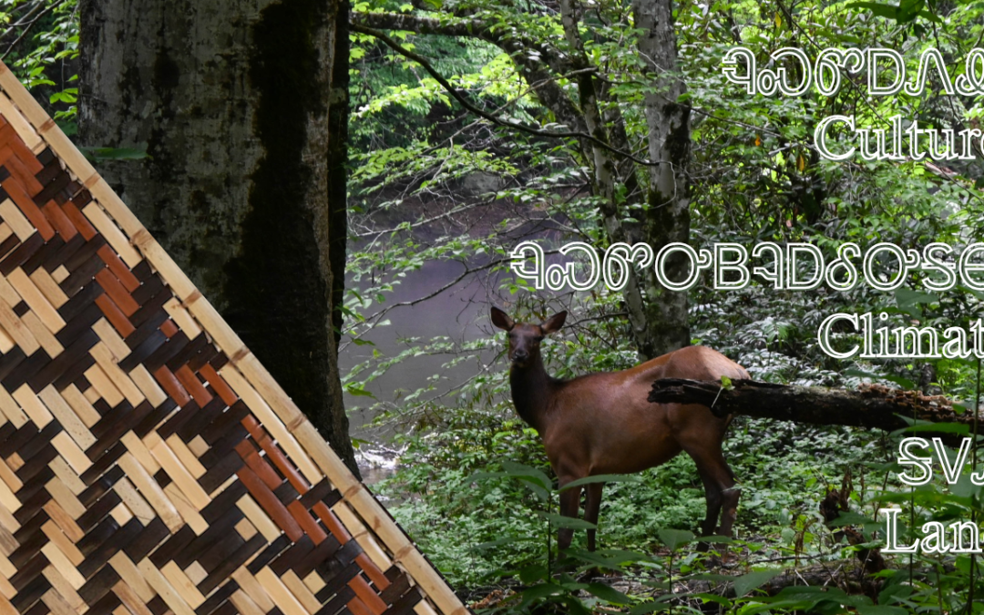 Village Nature Series: Indigenous Stewardship- Weaving together culture, climate, and land